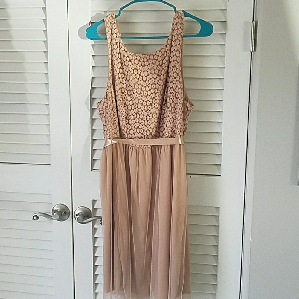 Knee Length Dress